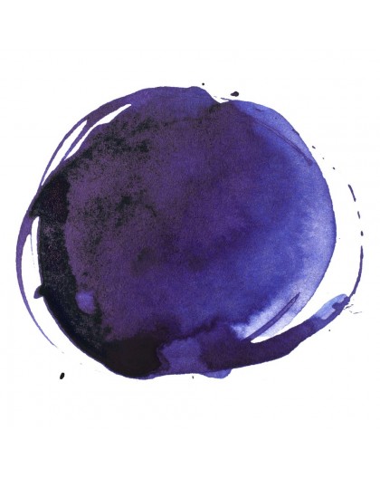 Phtalo Blue Red Shade - Professional Acrylic Ink