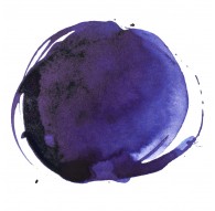 Phtalo Blue Red Shade - Professional Acrylic Ink
