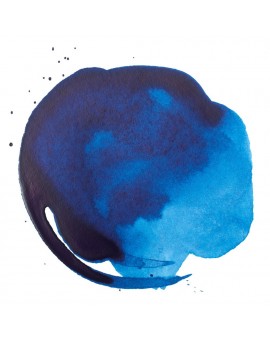 Phtalo Blue Green Shade - Professional Acrylic Ink