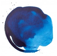 Phtalo Blue Green Shade - Professional Acrylic Ink