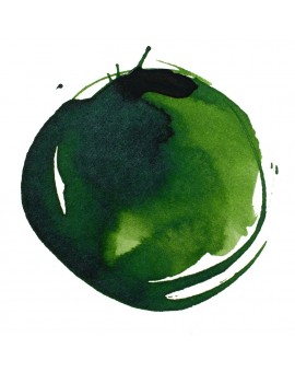 Sap Green Permanent - Professional Acrylic Ink