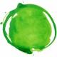 Vivid Lime Green - Professional Acrylic Ink