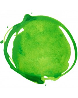 Vivid Lime Green - Professional Acrylic Ink