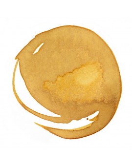 Transparent Raw Sienna - Professional Acrylic Ink