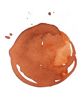 Transparent Burnt Sienna - Professional Acrylic Ink