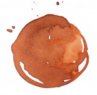Transparent Burnt Sienna - Professional Acrylic Ink