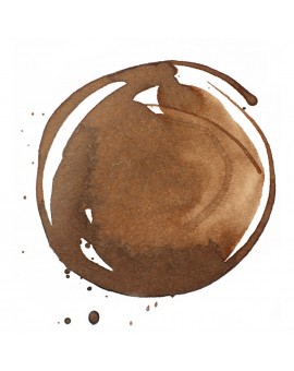 Transparent Burnt Umber - Professional Acrylic Ink