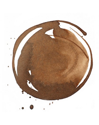 Transparent Burnt Umber - Professional Acrylic Ink