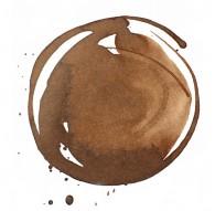 Transparent Burnt Umber - Professional Acrylic Ink