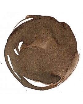 Sepia - Professional Acrylic Ink