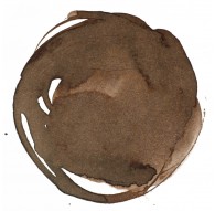 Sepia - Professional Acrylic Ink