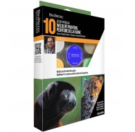 Jason Morgan Wildlife Painting set 10 kleuren