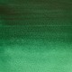 W&N Professional Water Colour - Viridian Hue (696)