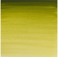 W&N Professional Water Colour - Olive Green (447)