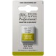 W&N Professional Water Colour - Olive Green 1/2 napje