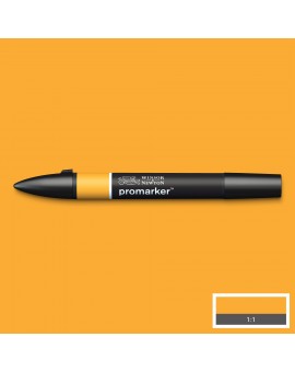 Promarker Gold O555