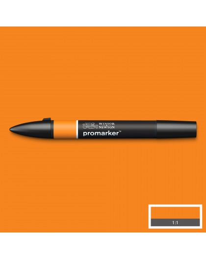 Promarker Pumpkin O467