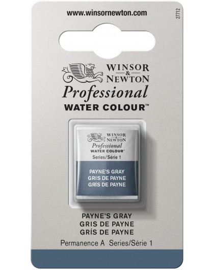 W&N Professional Water Colour - Payne's Grey 1/2 napje