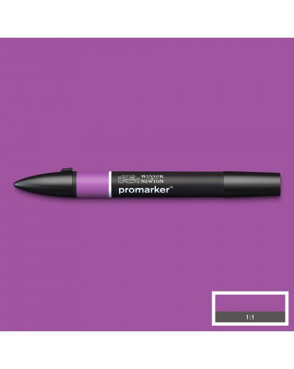 Promarker Purple V546