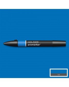 Promarker True Blue B555