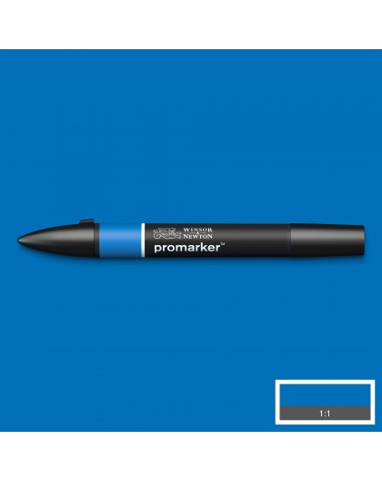 Promarker True Blue B555