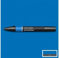 Promarker True Blue B555