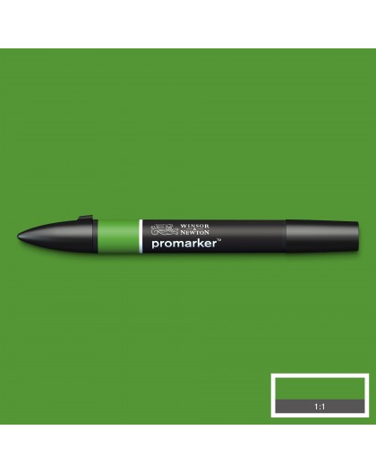 Promarker Forest Green G356