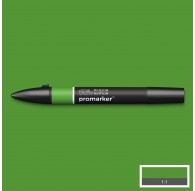 Promarker Forest Green G356
