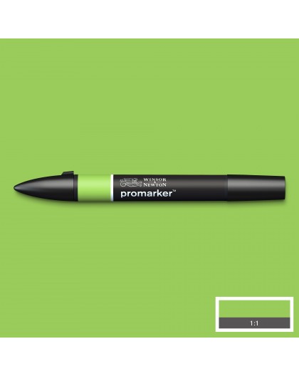 Promarker Leaf Green G258