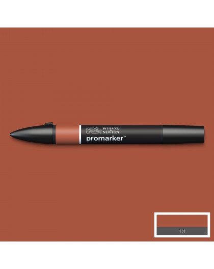 Promarker Burnt Umber R646