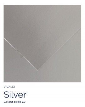 Silver 40 - Canson Iris Vivaldi vel 50x65cm