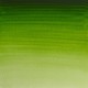 W&N Professional Water Colour - Permanent Sap Green (503)