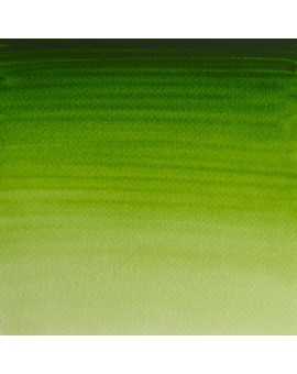 Permanent Sap Green - W&N Professional Water Colour