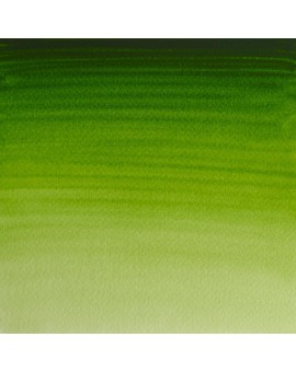 W&N Professional Water Colour - Permanent Sap Green (503)