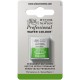 W&N Professional Water Colour - Permanent Sap Green 1/2 napje