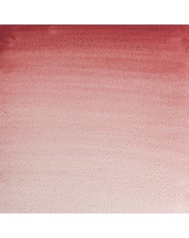 Potter's Pink - W&N Professional Water Colour