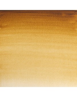 Raw Umber - W&N Professional Water Colour