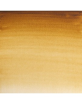 W&N Professional Water Colour - Raw Umber (554)