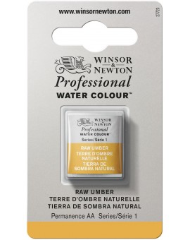 W&N Professional Water Colour - Raw Umber (554)