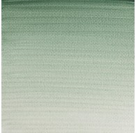 W&N Professional Water Colour - Terre Verte (637)