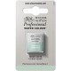 W&N Professional Water Colour - Terre Verte 1/2 napje