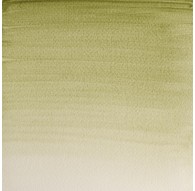 W&N Professional Water Colour - Terre Verte (Yellow Shade) (638)