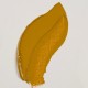 Yellow Ochre - Rembrandt olieverf