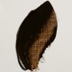 Raw Umber - Rembrandt olieverf