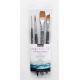 Princeton Aqua Elite Professional 4pc set