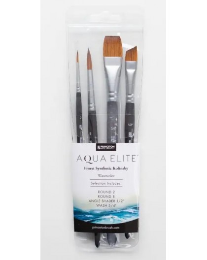 Princeton Aqua Elite Professional 4pc set