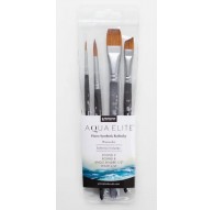 Princeton Aqua Elite Professional 4pc set