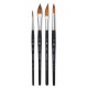 Princeton Aqua Elite Professional Global set 4pc