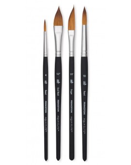 Princeton Aqua Elite Professional Global set 4pc