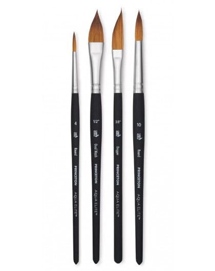 Princeton Aqua Elite Professional Global set 4pc